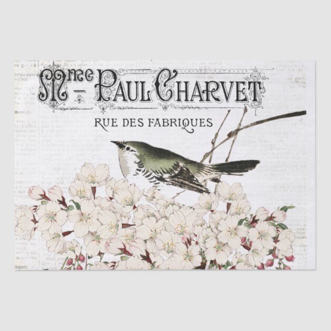 Papier Mousseline Oiseaux et Magnolia papier de tissus (Recto)