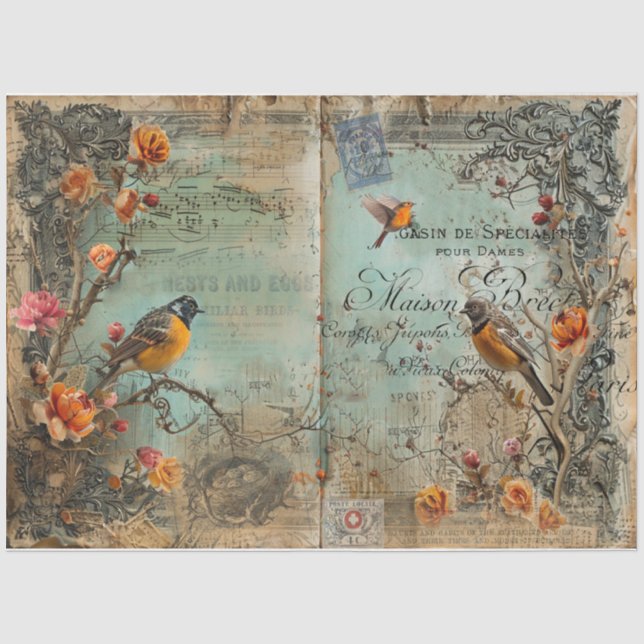 Papier Mousseline Oiseaux et oeufs du Journal des malédictions (Recto)