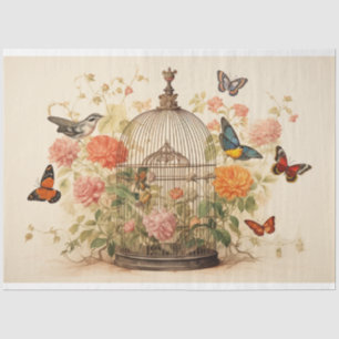 Papier Mousseline Oiseaux et papillons : Découpage de cage d'oiseaux