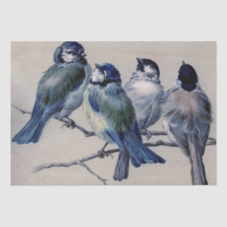 Papier Mousseline Oiseaux gris bleu sur une branche par Hector Giaco