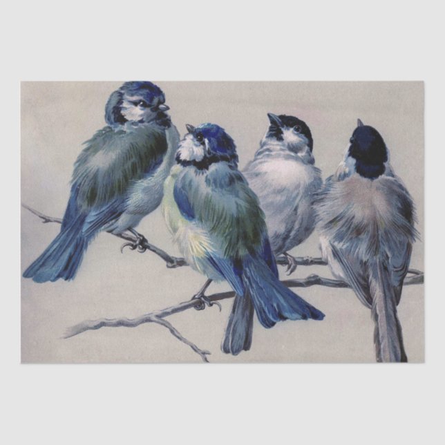 Papier Mousseline Oiseaux gris bleu sur une branche par Hector Giaco (Recto)