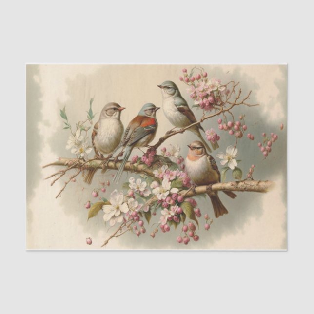 Papier Mousseline Oiseaux mignons sur une branche (Recto)