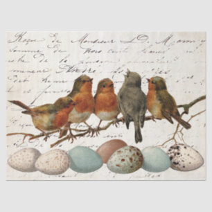 Papier Mousseline Oiseaux OEufs Europe Vintage Robin Français Découp