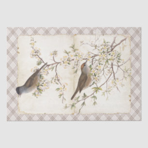 Papier Mousseline Oiseaux sur les diamants de parchemin des branches