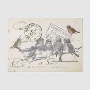 Papier Mousseline Oiseaux sur une succursale French Postmark Collage