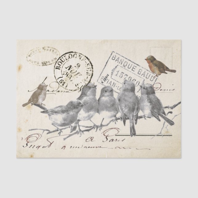 Papier Mousseline Oiseaux sur une succursale French Postmark Collage (Recto)