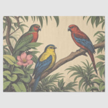 Oiseaux tropicaux Illustration audacieuse
