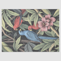 Oiseaux tropicaux Illustration audacieuse