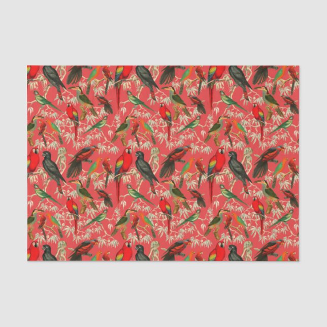 Papier Mousseline oiseaux vintages (Recto)