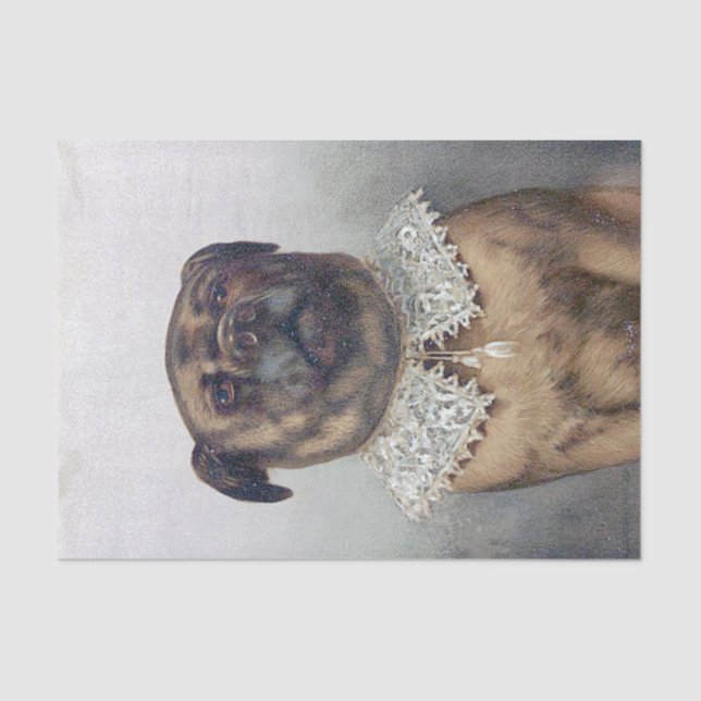 Papier Mousseline Oncle Toby, art typique de Kitch par Frederick (Recto)