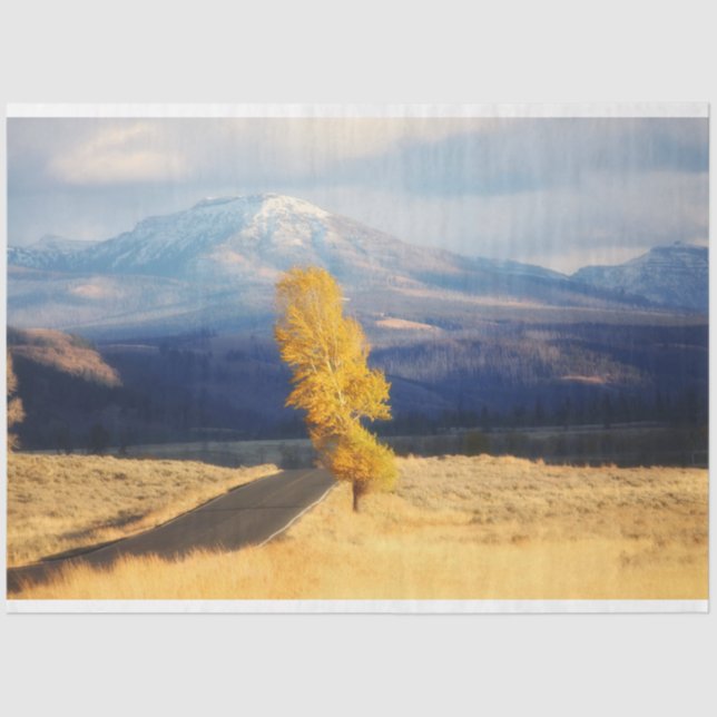 Papier Mousseline Open Road (Recto)