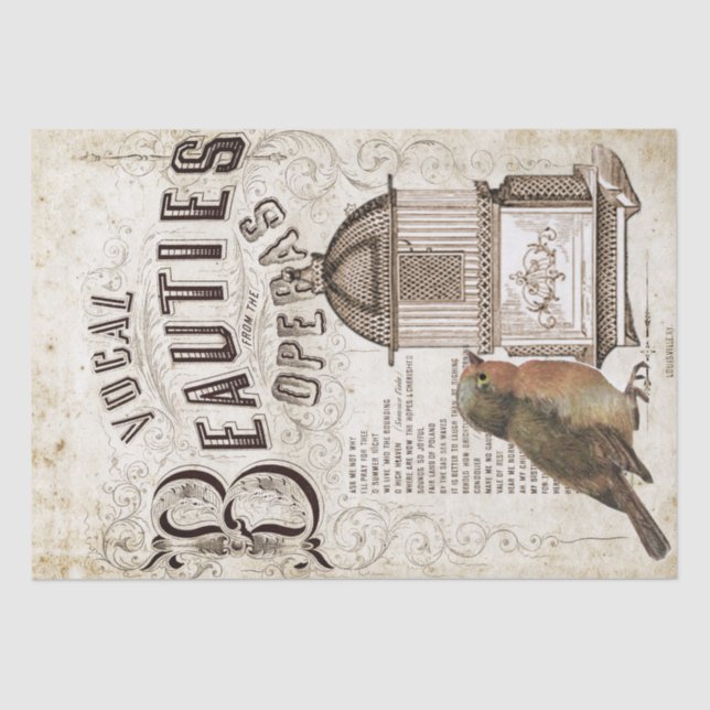 Papier Mousseline Opera Chanson Musique Robin Bird Birdcage Découpag (Recto)