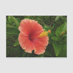 Papier Mousseline Orange Hibiscus Fleur Tropical Floral
