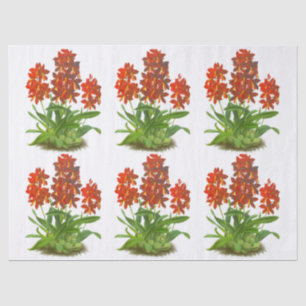 Papier Mousseline Orange Rouge Exotique Orchidée Découpage