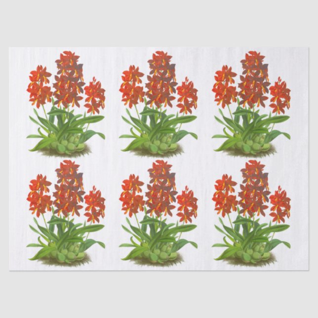 Papier Mousseline Orange Rouge Exotique Orchidée Découpage (Recto)