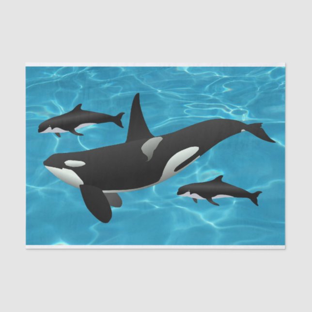 Papier Mousseline Orca Whales (Recto)