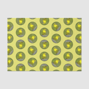 Papier Mousseline Orchard Oriole Femme au printemps Photo originale