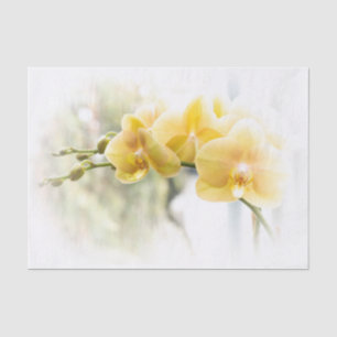 Papier Mousseline Orchidée de mite jaune en soleil