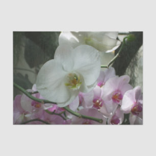 Papier Mousseline Orchidées blanches et violettes