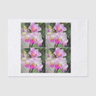 Papier Mousseline Orchidées blanches roses pour l'enveloppement mixt