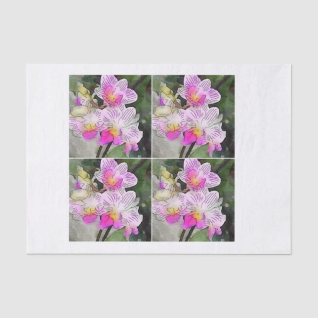 Papier Mousseline Orchidées blanches roses pour l'enveloppement mixt (Recto)