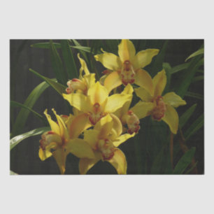 Papier Mousseline Orchidées Jaunes Sunlit Floral