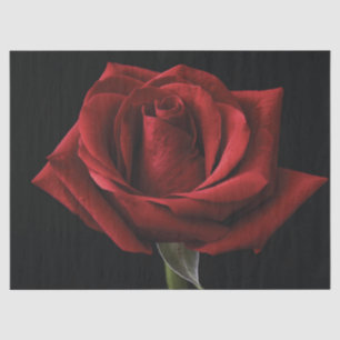 Papier Mousseline oreiller rouge