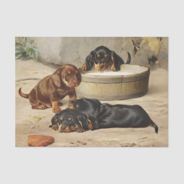 Papier Mousseline Otto Bache | Chipies Dachshund (Recto)