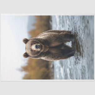 Papier Mousseline Ours grizzli traversant une déviation d'une rivièr