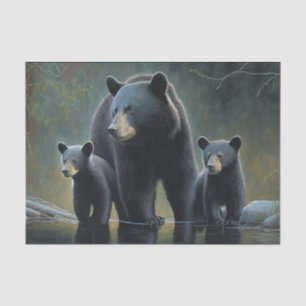 Papier Mousseline Ours noir et petits