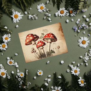 Papier Mousseline Page de découpage de champignons français vintages