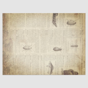 Papier Mousseline Page française grunge de dictionnaire