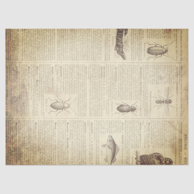 Papier Mousseline Page française grunge de dictionnaire (Recto)