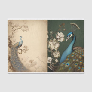 Papier Mousseline Page Tissue de paock