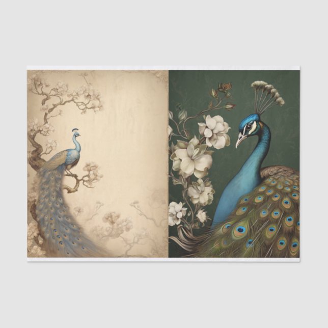 Papier Mousseline Page Tissue de paock (Recto)