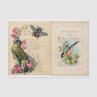 Papier Mousseline Pages du livre Bull Finch Ephemera avec abeilles e