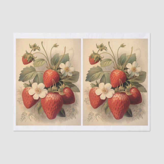 Papier Mousseline Paire de fraises et de fleurs blanches (Recto)