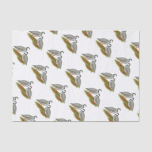 Papier Mousseline Paire de perdrix de Chukar