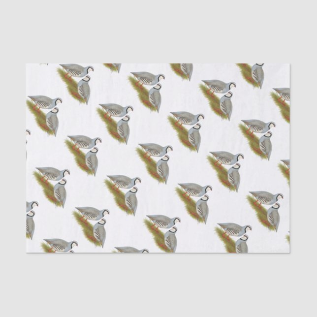 Papier Mousseline Paire de perdrix de Chukar (Recto)