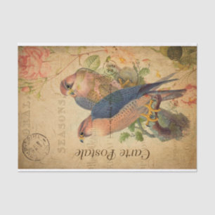 Papier Mousseline Paire vintage de faucons pèlerins Oiseaux Français