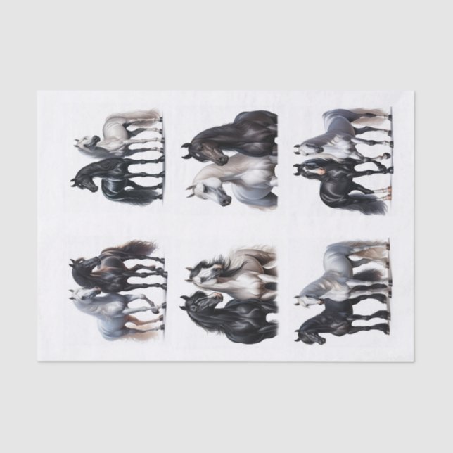 Papier Mousseline Pairs de cheval noir et blanc (Recto)