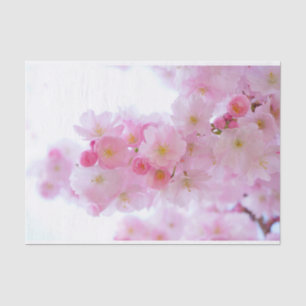 Papier Mousseline Pâlissez - les fleurs de cerisier roses