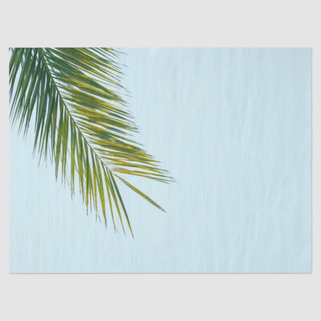 Papier Mousseline Palmier Vert Tropical sur Fond Bleu Clair (Recto)