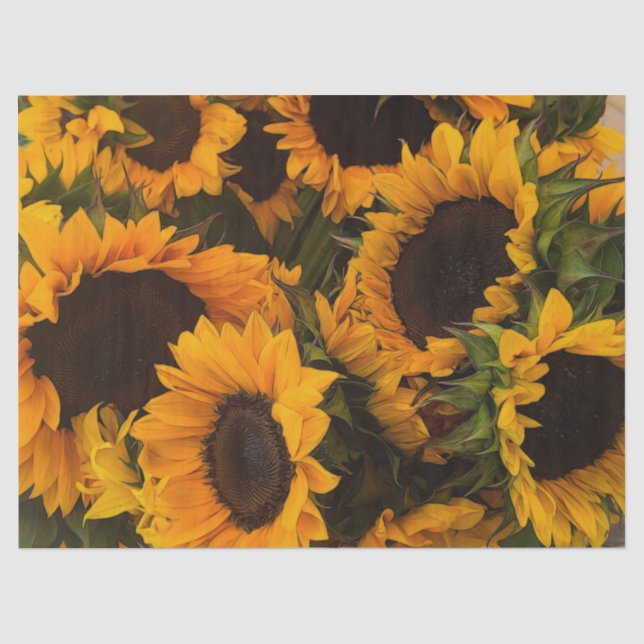 Papier Mousseline Panier de tournesol (Recto)