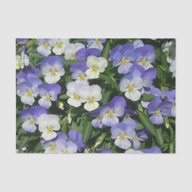 Papier Mousseline Pansies violettes Jardin Floral (Recto)