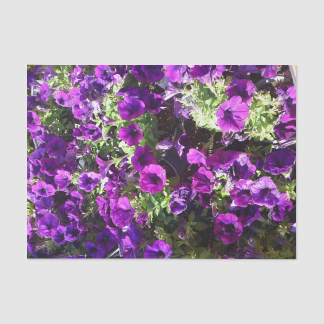 Papier Mousseline Paper de Purple Petunia (Recto)