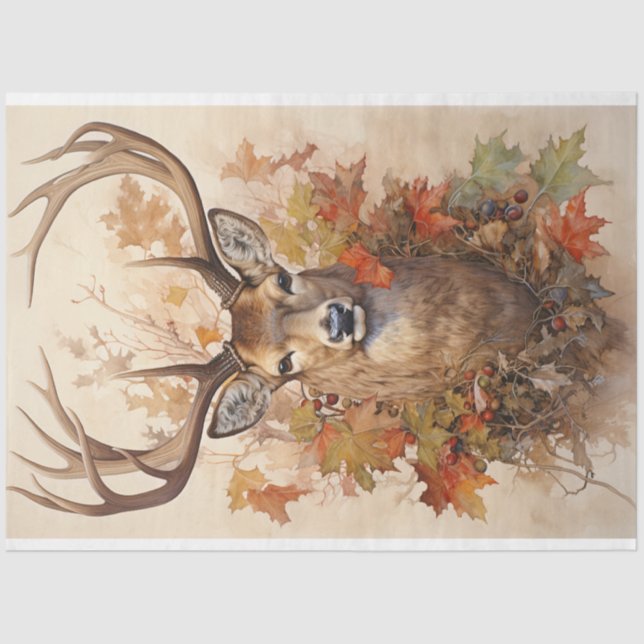 Papier Mousseline Papier (Recto)