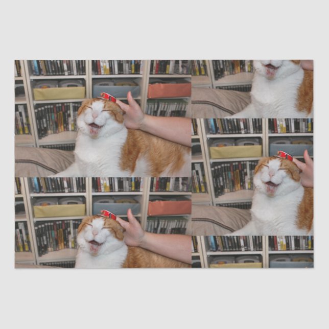 Papier Mousseline Papier à enveloppement pointu (Recto)