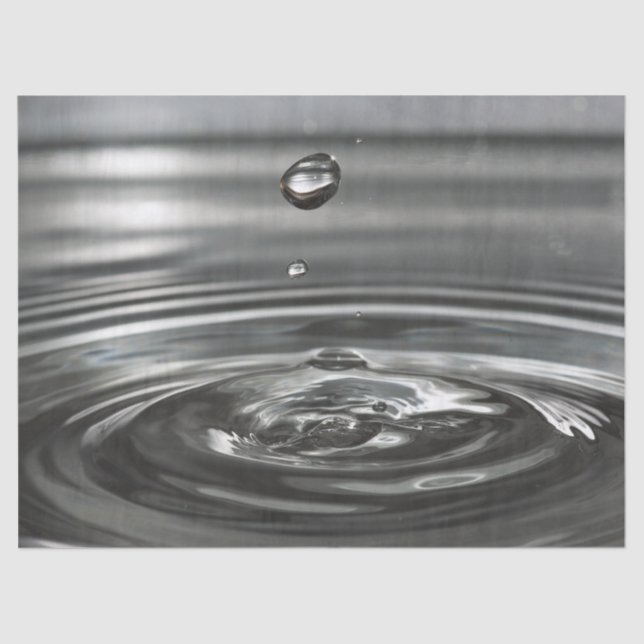 Papier Mousseline papier à mouche (Recto)