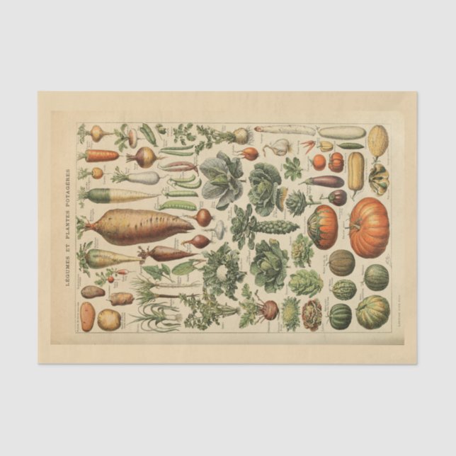 Papier Mousseline Papier de découpage 10"x15" - Art botanique 45 (Recto)